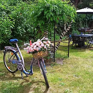 Hostel Retro & Garden